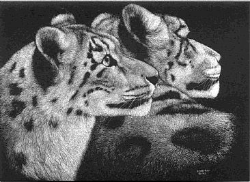 Snow Leopards - Snow Leopards by Diane Versteeg